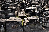 Prambanan - Candi Lara Jonggrang, ruins of the 224 ancillary temples of the outer precinct. 